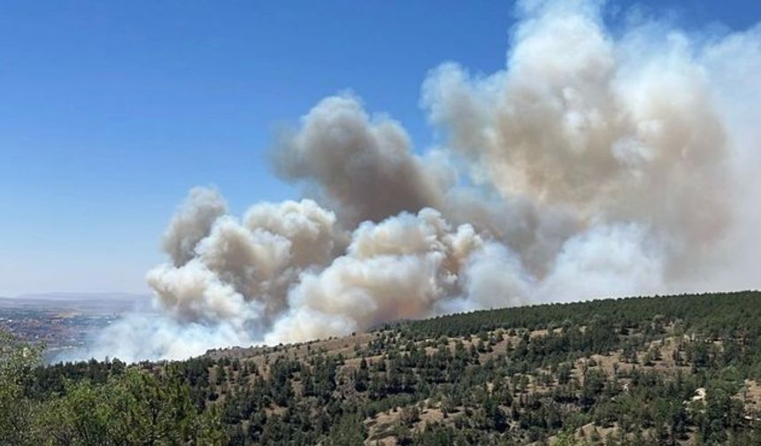ODTÜ ormanlarında yangın çıktı