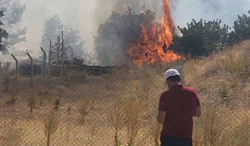 Ankara'da orman yangınına neden olan şüpheli yakalandı