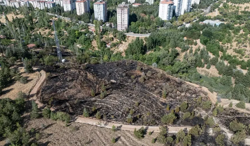 Çankaya’da korkutan yangın: Alevler çamlığa ulaşmadan söndürüldü
