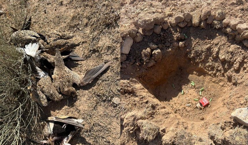 Ankara’da kaçak avcılığa geçit yok! 29 kuş için ceza kesildi