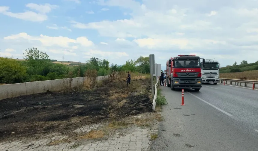 Ankara-Bursa karayolu kenarındaki otluk yangını paniğe yol açtı