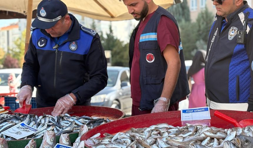 Sincan’da balık tezgâhlarına sıkı denetim: Zabıta ekipleri iş başında