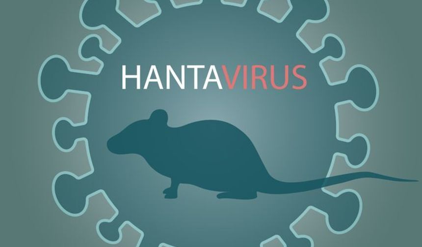 DSÖ Alarma Geçti: Hantavirüs Vakaları Yakın Takipte