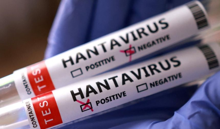 İspanya’da Hantavirüs Alarmı: Yolculardan Birinin Testi Pozitif Çıktı