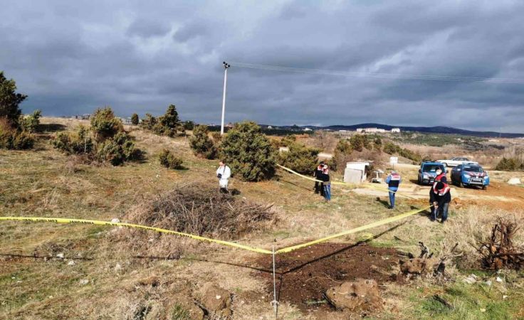 Kütahya’da ölü bulunan köpekler ile ilgili soruşturma başlatıldı