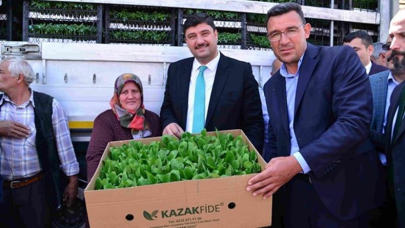 Kahramankazan Belediyesi çiftçiye 1 milyon 700 bin fideyi dağıtıyor