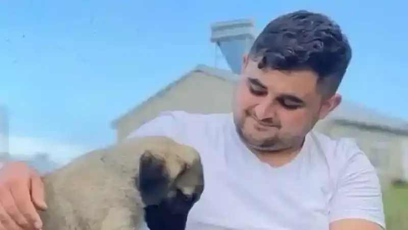 Savcı Sayan'ın yeğeni Ali Sayan yaşamını yitirdi. Ali Sayan neden öldü ...