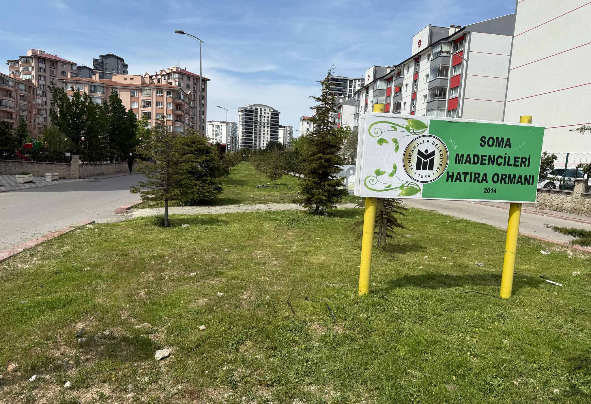 Bahar Temizligi