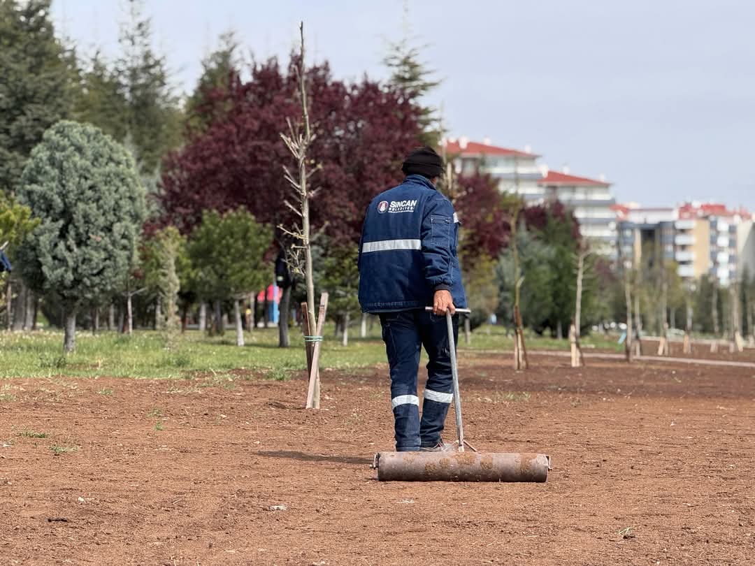 Park Ve Bahçe Bakımı (2)