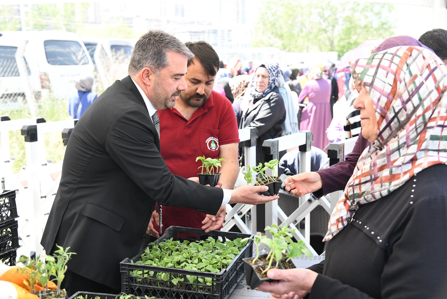 Pursaklar’da Yerli Tohuma Büyük Ilgi Geleneksel Dağıtımda Yoğun Katılım (4)
