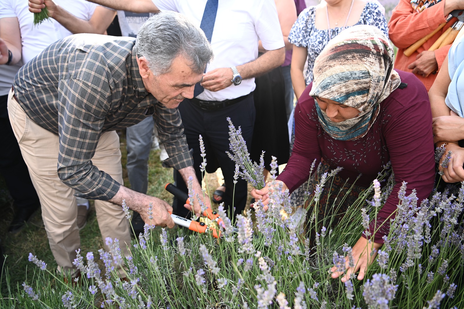 21.07.2025 Mamak Lavanta Bahçesi Şenlikle Sezona Başladı (9)