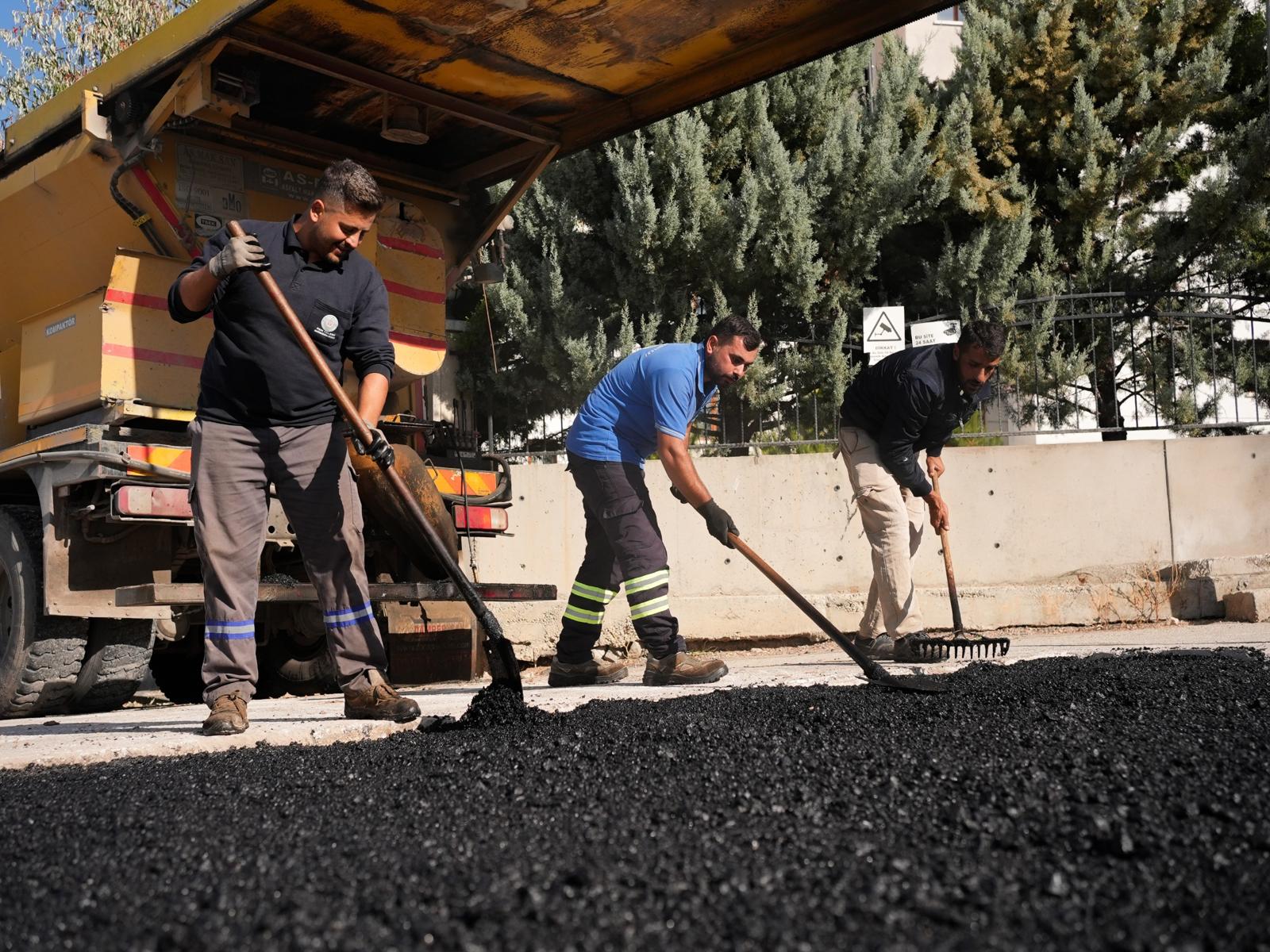 Whatsapp Image 2025 11 04 At 08.38.56 (4)