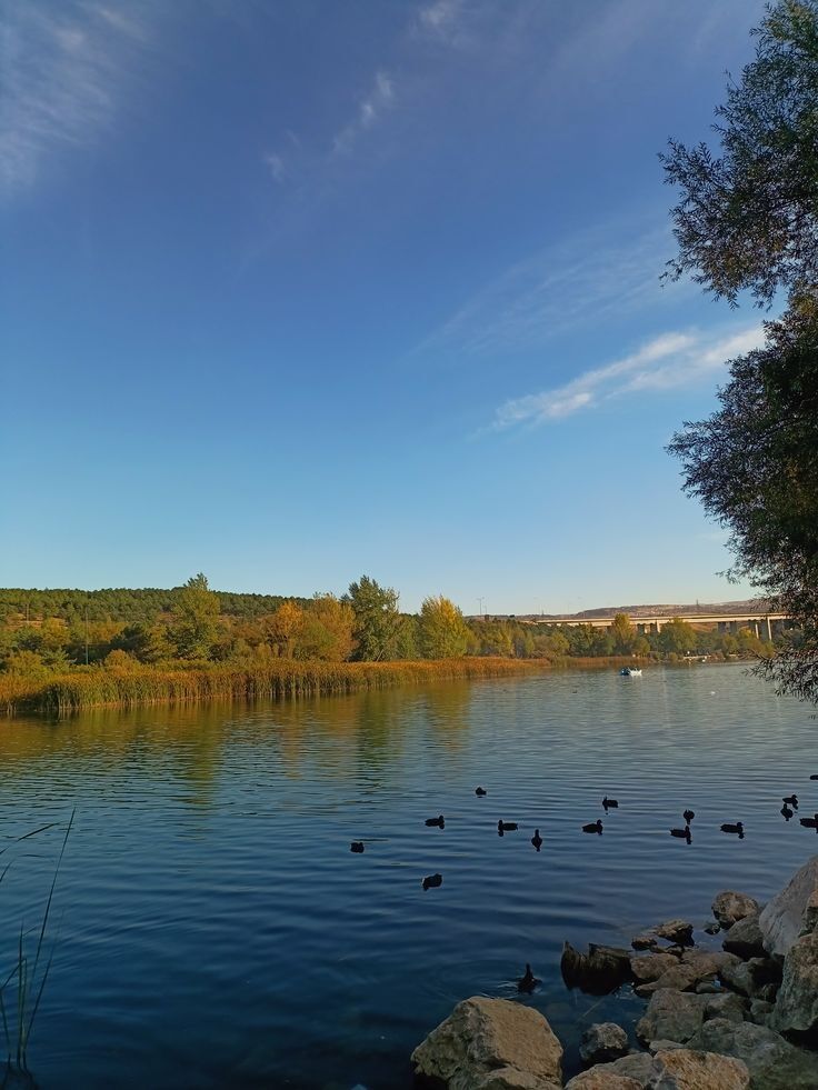 Ankara Mavi Göl 🦢