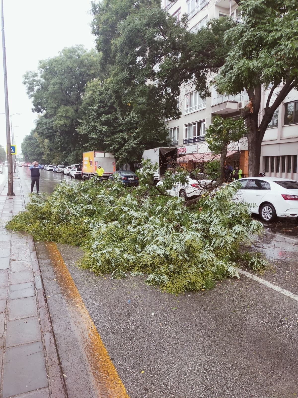 Ankara’da Sağanak Yağış Etkili Oluyor: Kurtuluş’ta Devrilen Ağaç Trafiği Kilitledi!